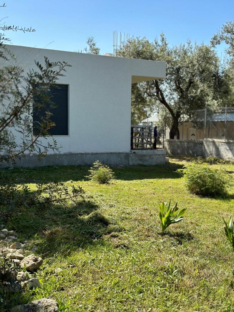 Villa Shega photo 4