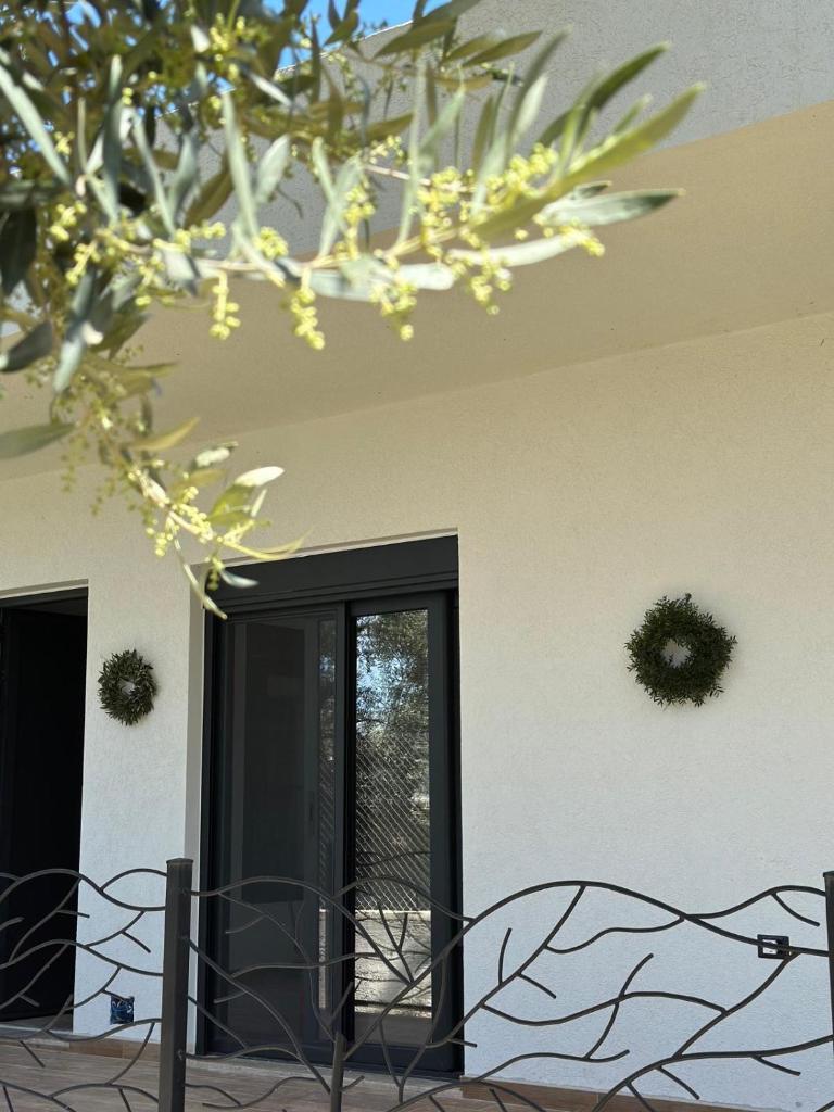 Villa Shega photo 3