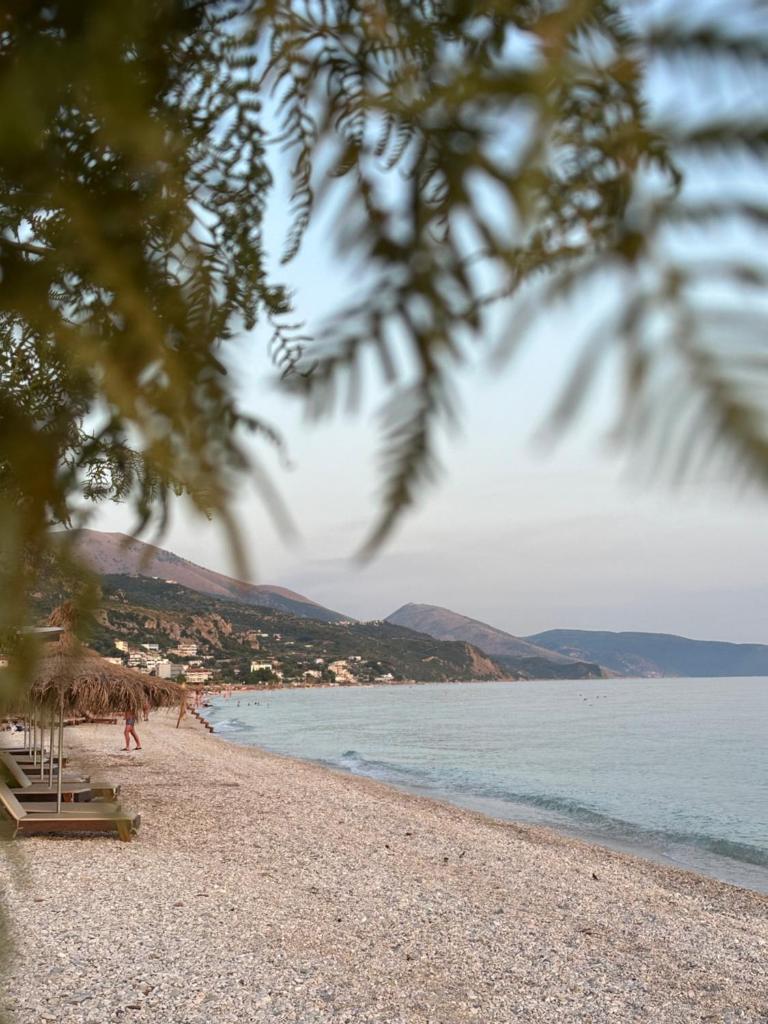 Villa Shega photo 1