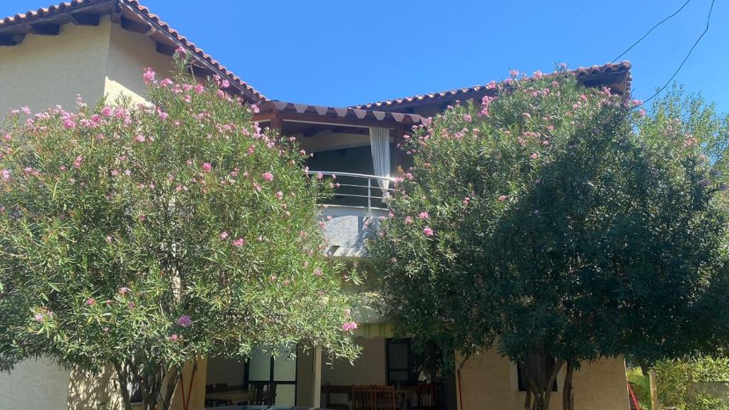 Guesthouse Bregdeti
