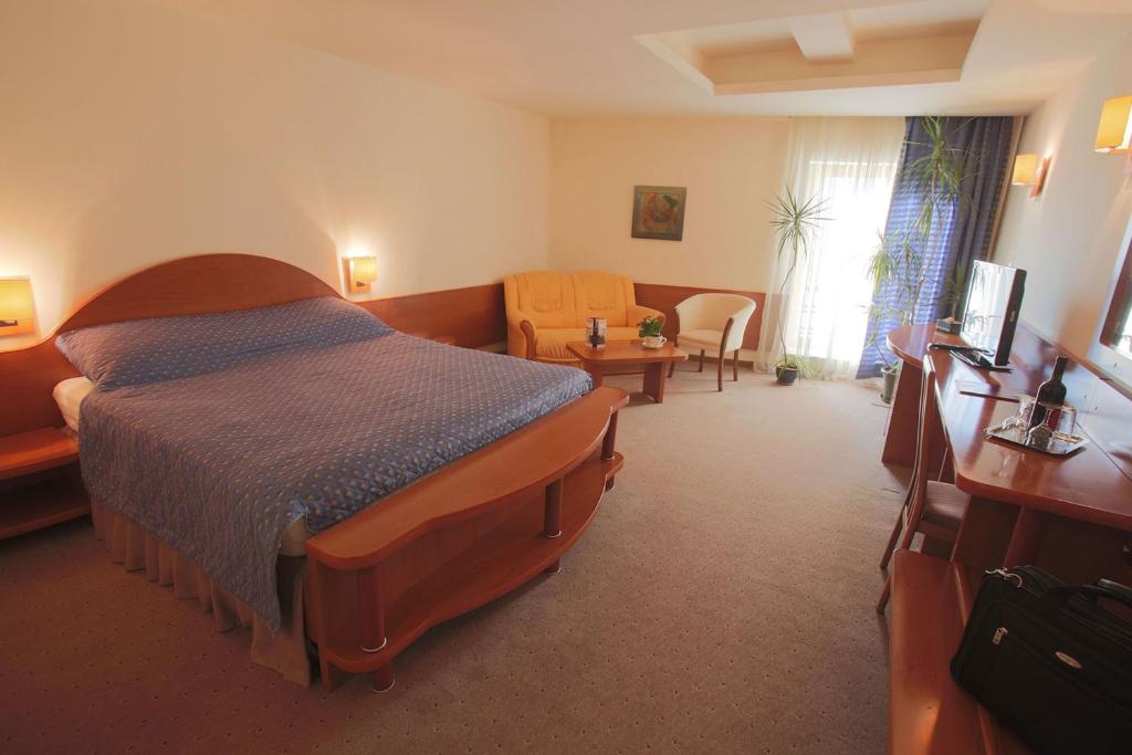 Двухместный (Двухместный номер с 1 кроватью), Hotel Irisa