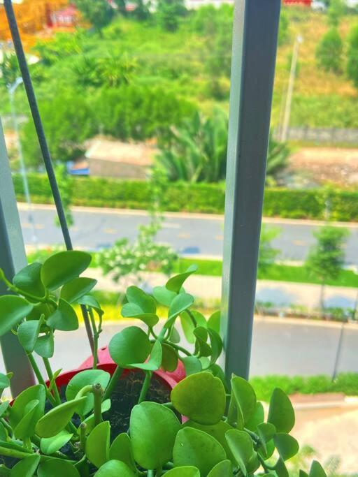 Quận 7 - Peace & Happiness House free Pool, Park