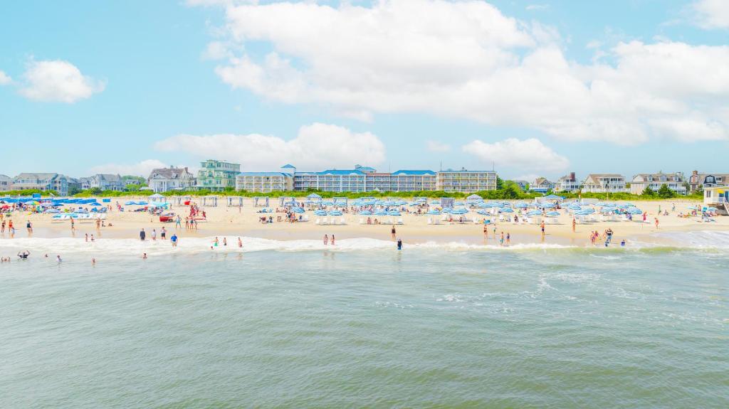 La Mer Beachfront Resort image