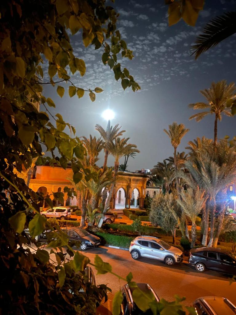 Riad Palmier fleuri