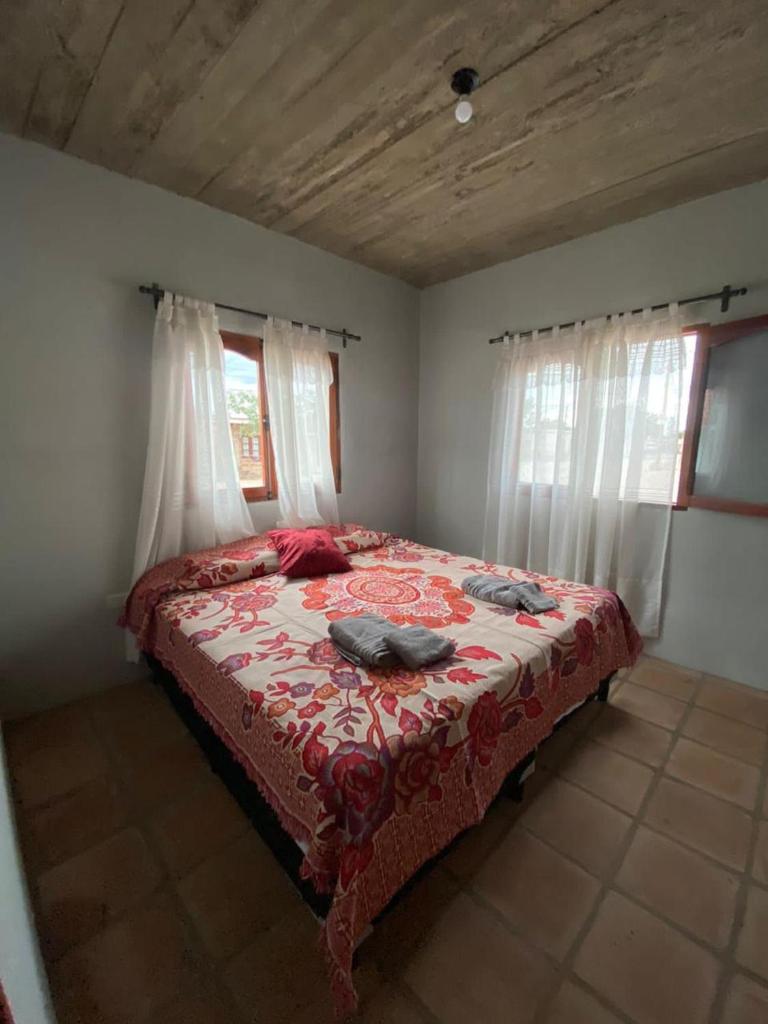 Vic-Bau photo 3