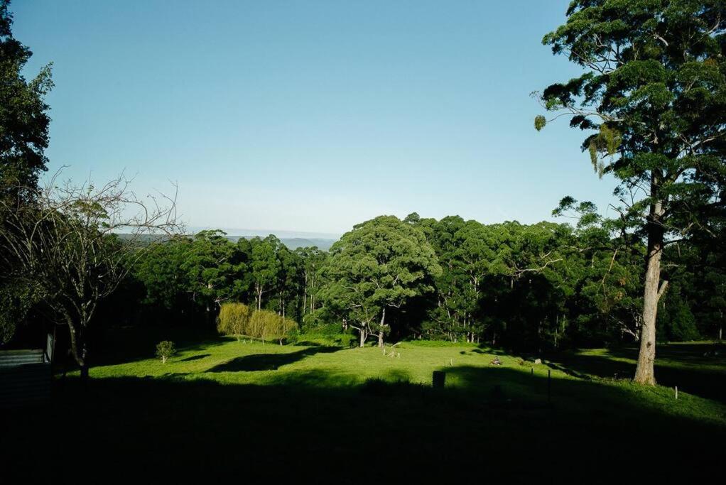 Budgong Lodge - Kangaroo Valley photo 4