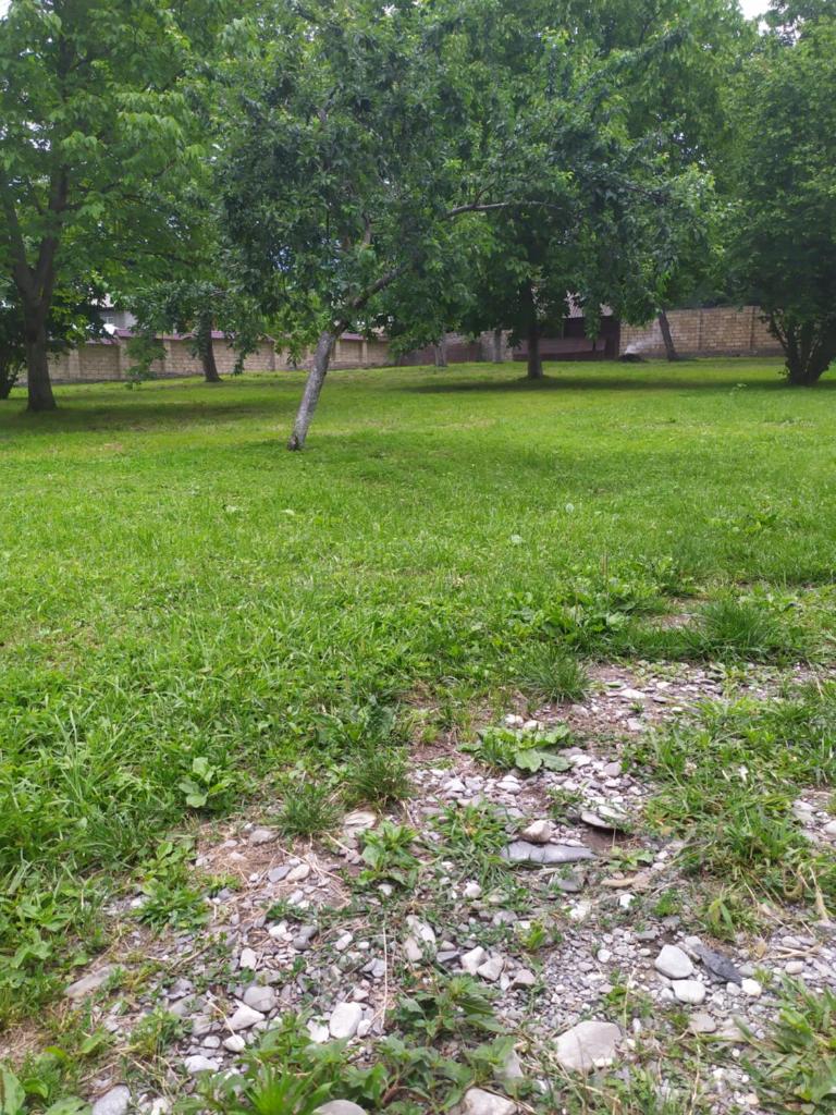 HOUSE WITH A LARGE YARD photo 4