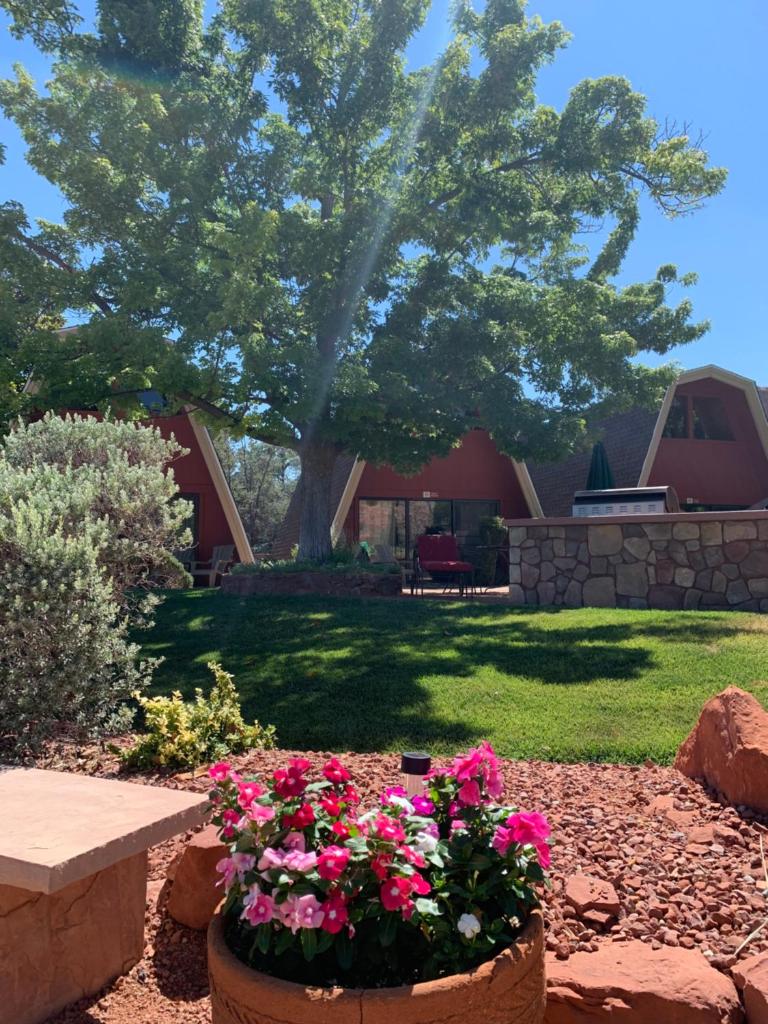Red Agave Resort image
