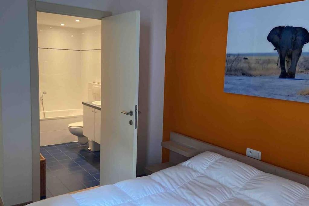 Knokke, Parmentierlaan 174 photo 1