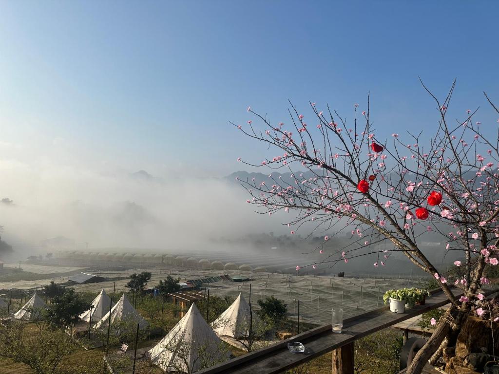 Green farm home & coffee