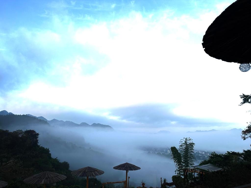 Green farm home & coffee