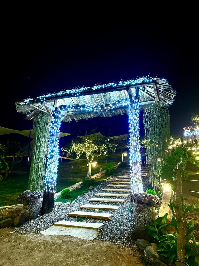 Green farm home & coffee