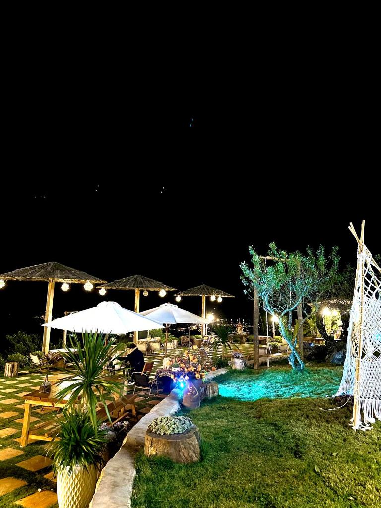 Green farm home & coffee