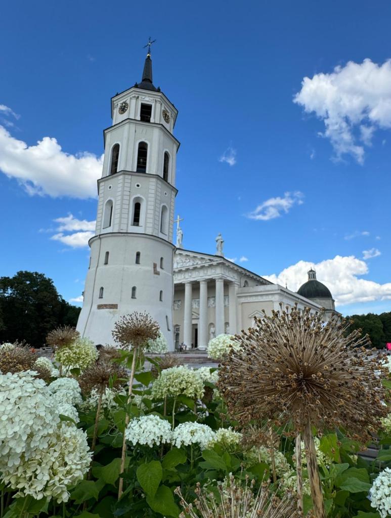 Heart of Vilnius - Tap to explore photos
