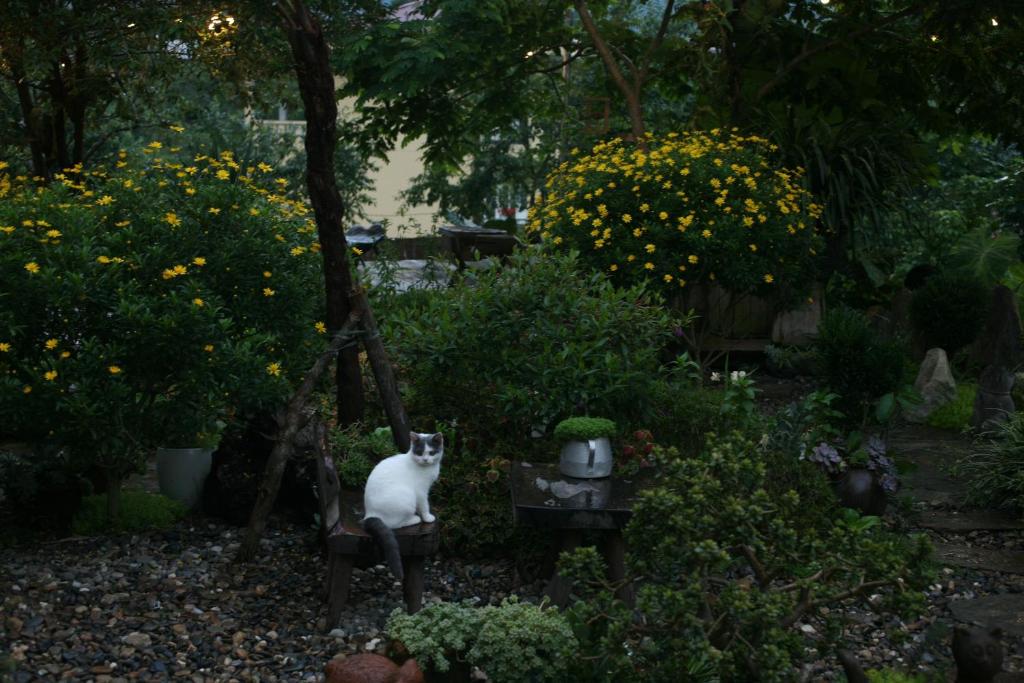 La Maison SAPA - Bungalow - Luxury