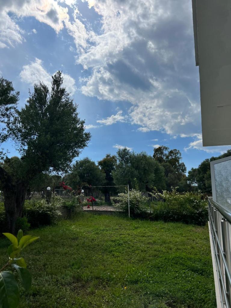 Villa Noel Borsh photo 1