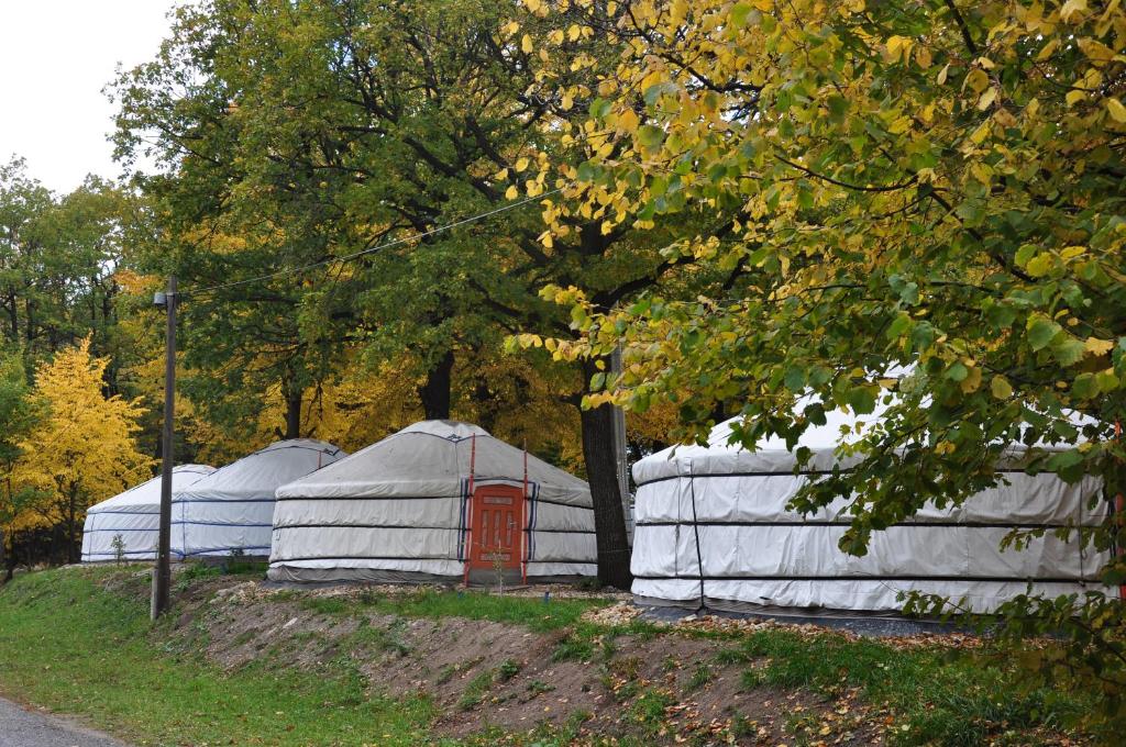 Dobogókő Jurtaszállás photo 4