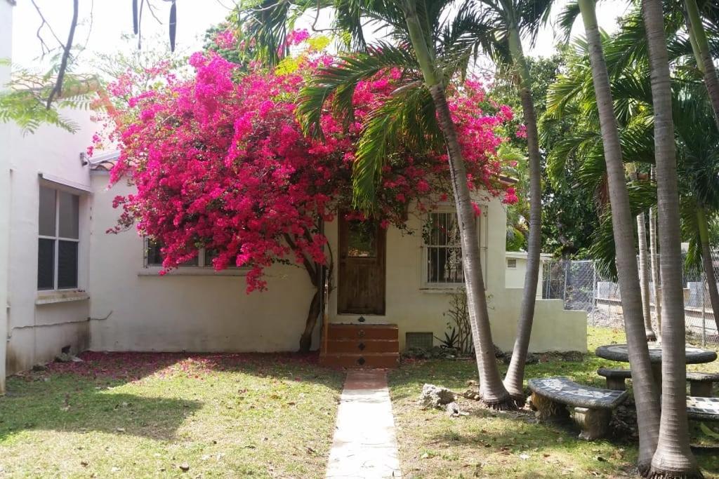 Private guest house in the heart of Miami! Surrounded by Miami's HOT spots! image