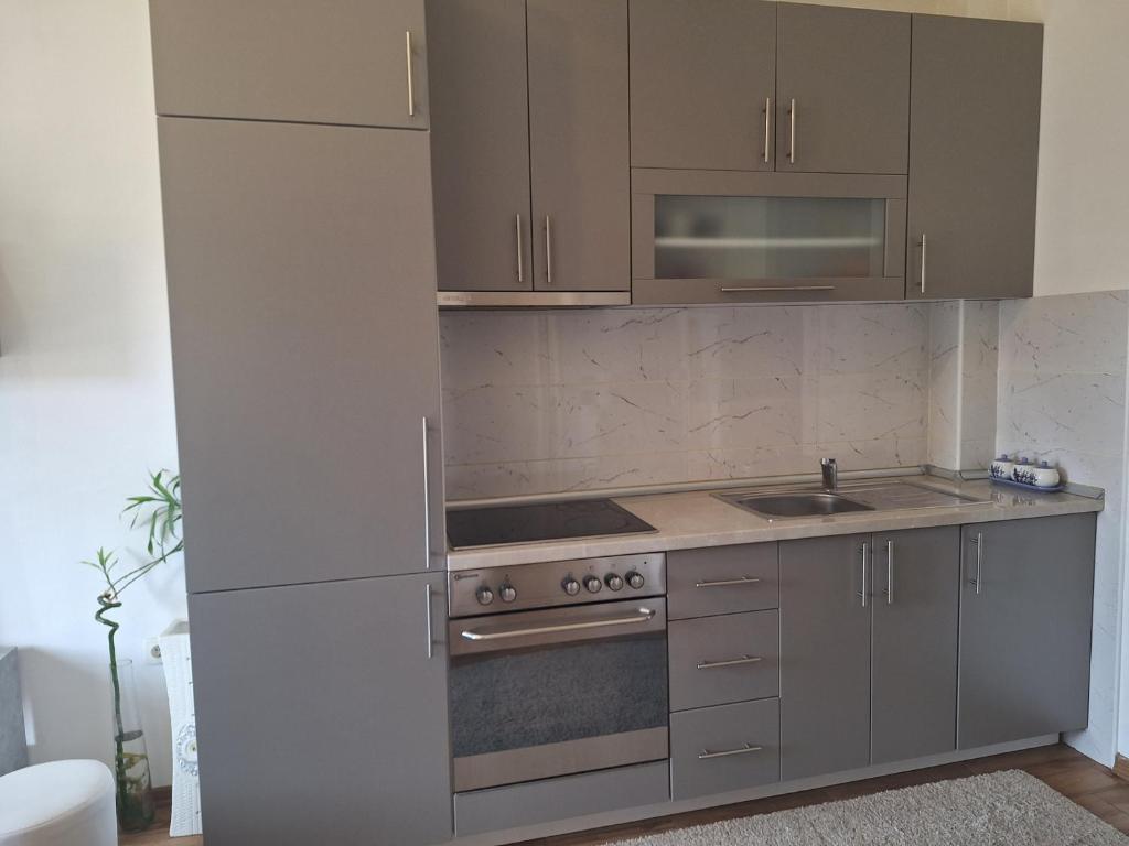 Apartman Vujovic photo 3