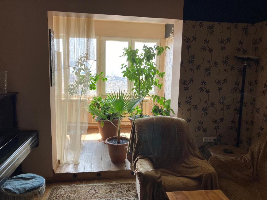 Homestay photo 2