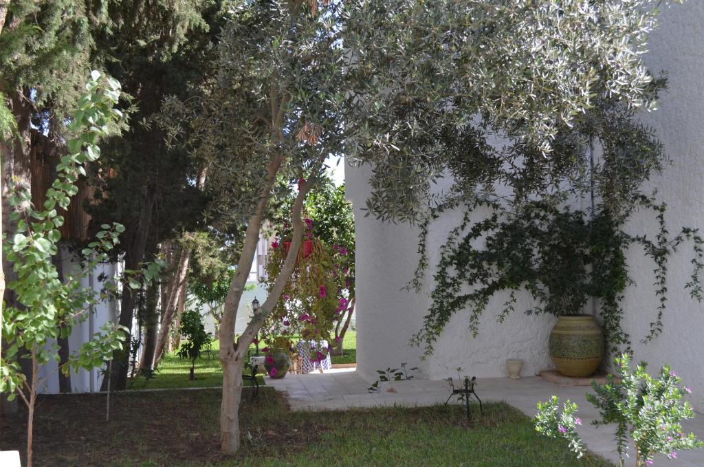 Dar Salama photo 2