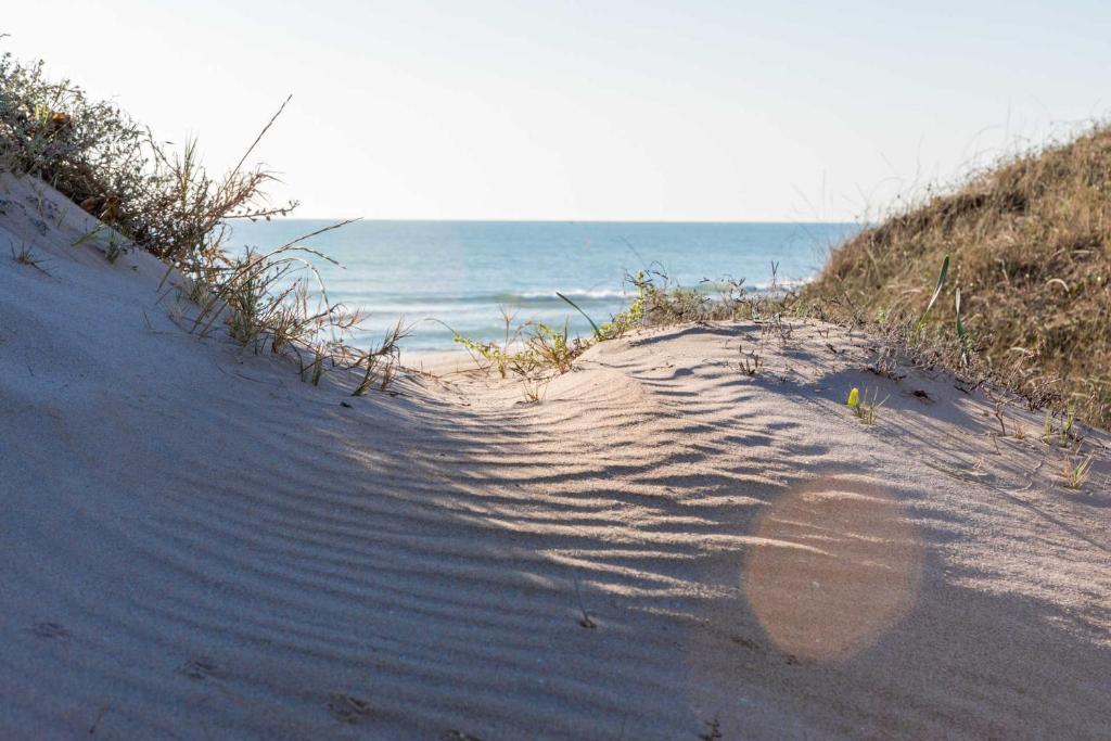 Albufera Dreams Nature Suites - Tap to explore photos