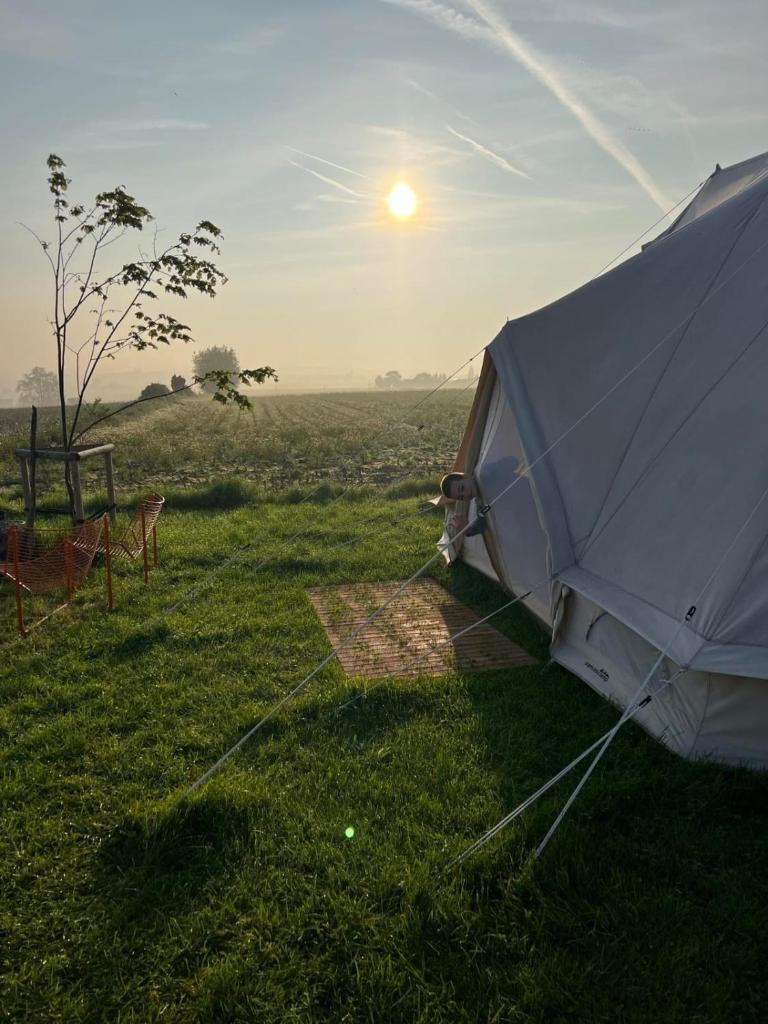Garden Glamping Mirabelle photo 4