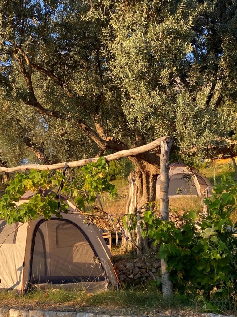 Kruje Camping photo 3