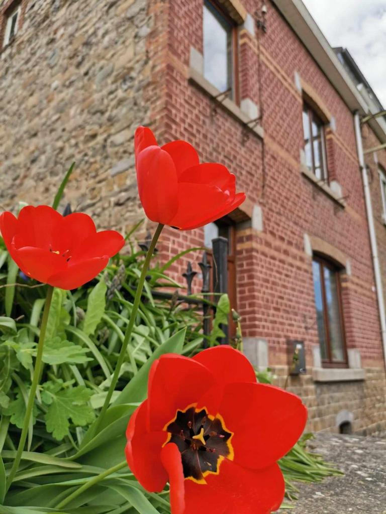 L'échappée belle photo 3