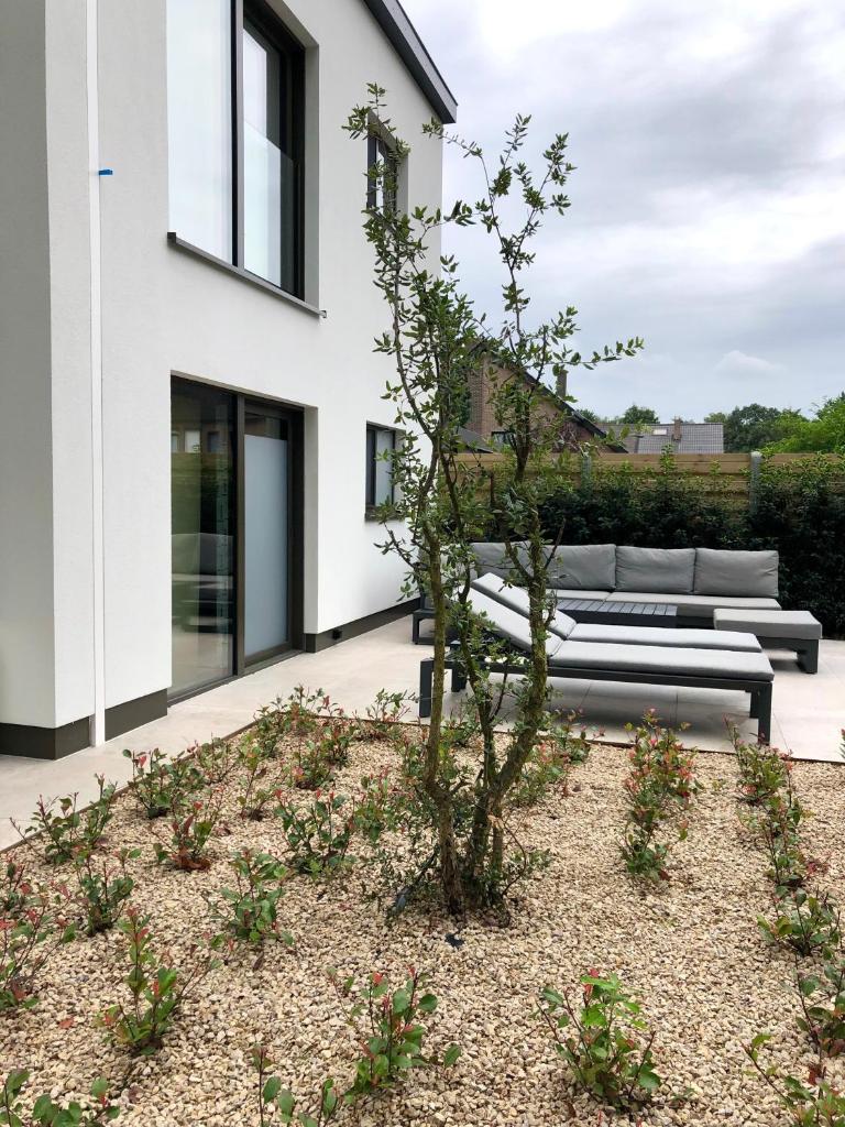 Huis Vanellus photo 4