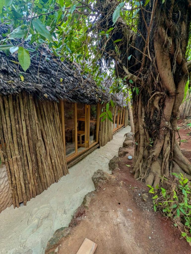 Zanzibar Ethical House intera casa - Tap to explore photos