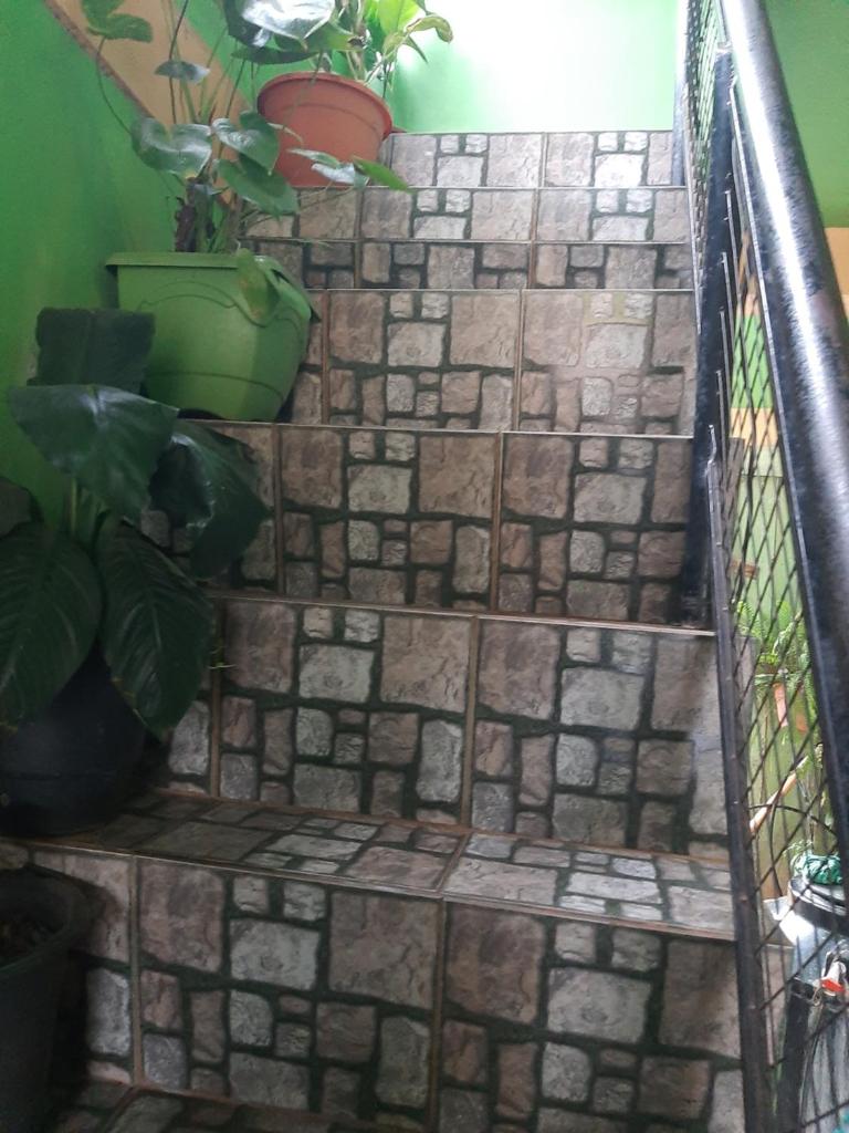 Casa Los Brasileños photo 3