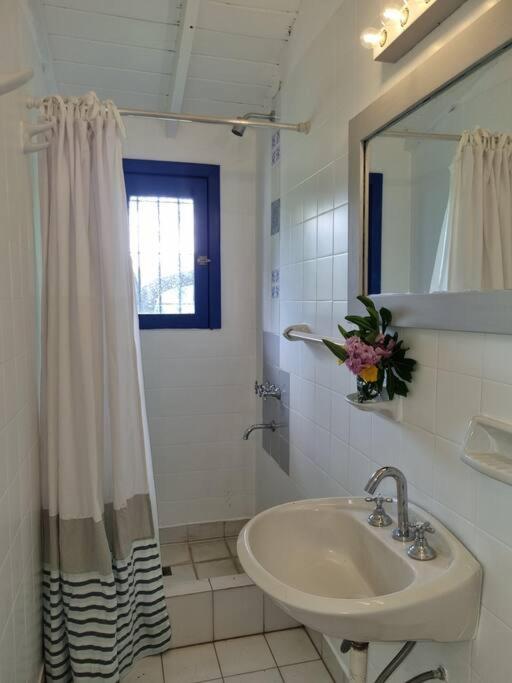 Casa La Alegría photo 3