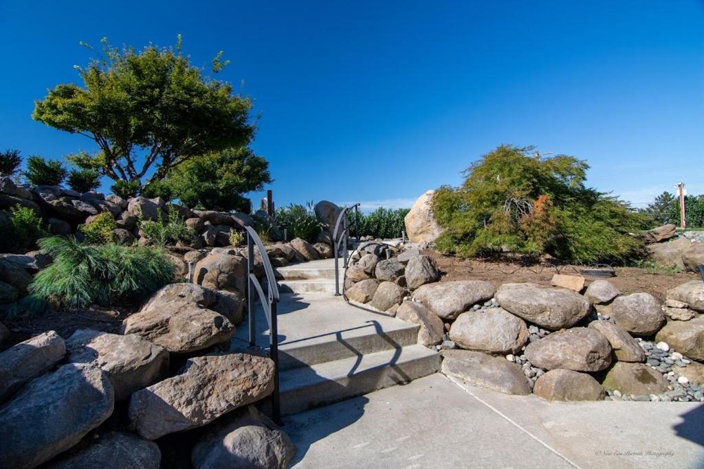 Beautiful Basement Level W Private Back Patio image