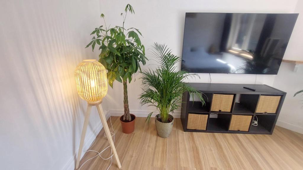 Appartements Entiers - Centre de Tournai photo 3