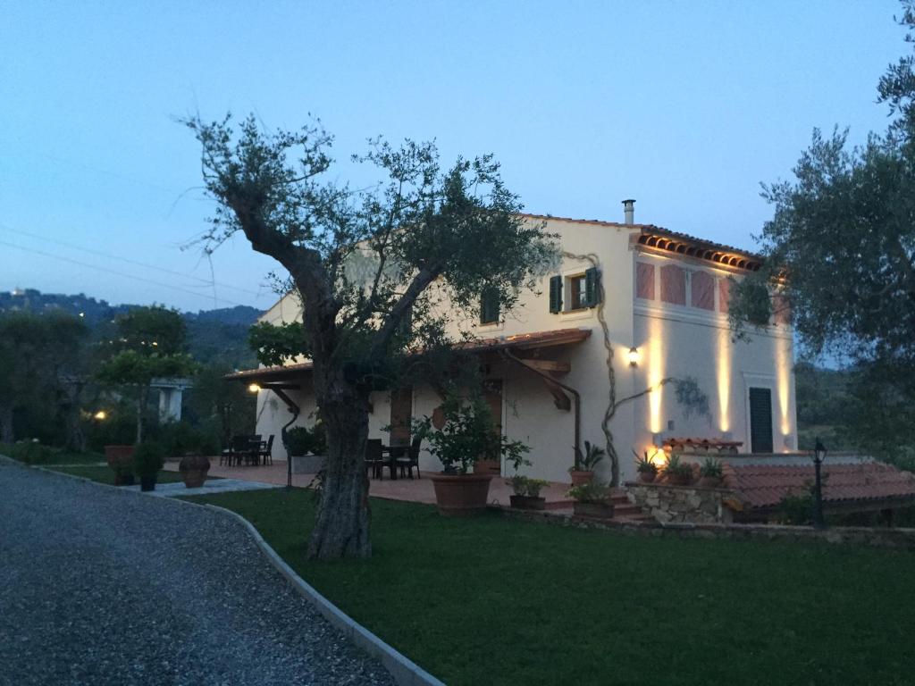 Casale Olea photo 1