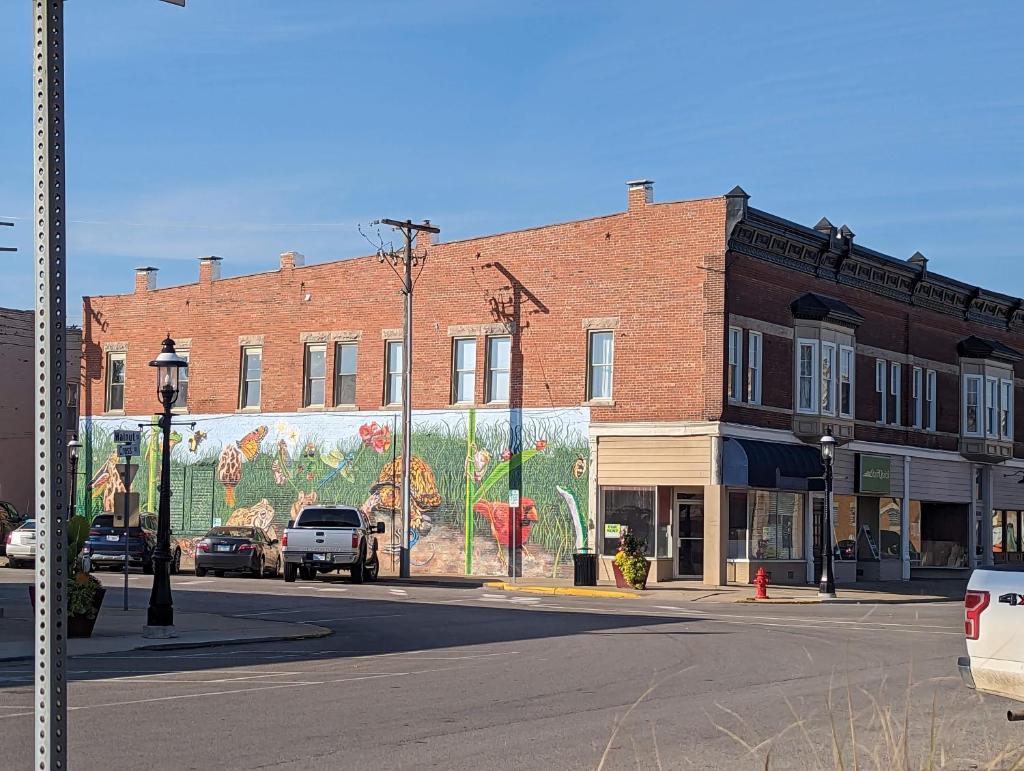 Charming Apartments in the Heart of Robinson image