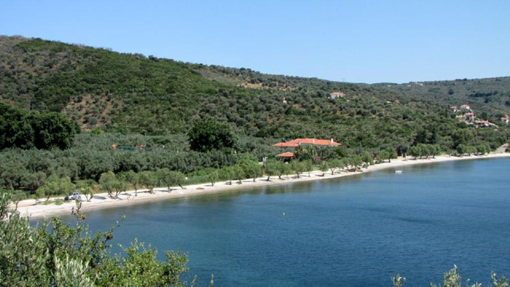 Iro family apartments pelion photo 2