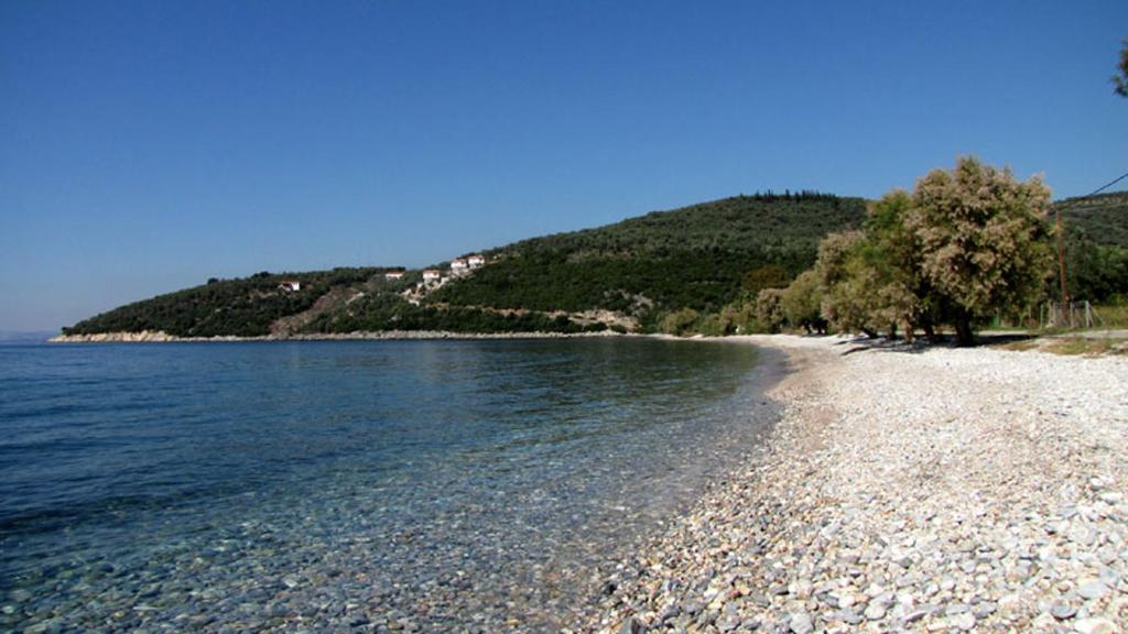 Iro family apartments pelion photo 3