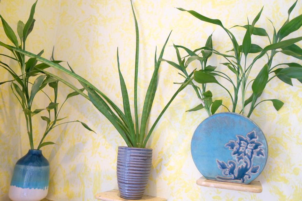 Khách sạn La Marina 