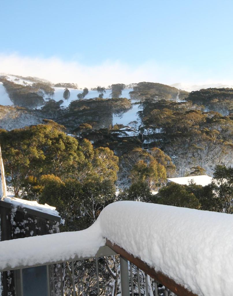 CHILL-OUT - Thredbo photo 1