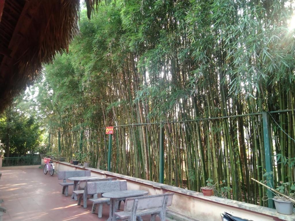 A Lìn Homestay Bắc Hà