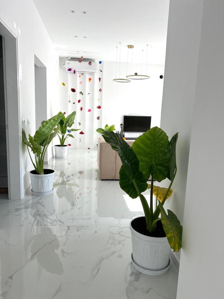 Home DeLuis photo 1