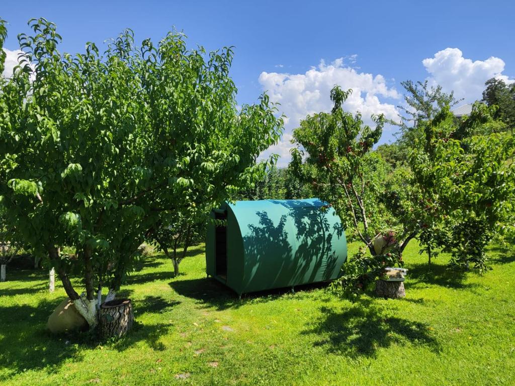 Nataly Campsite