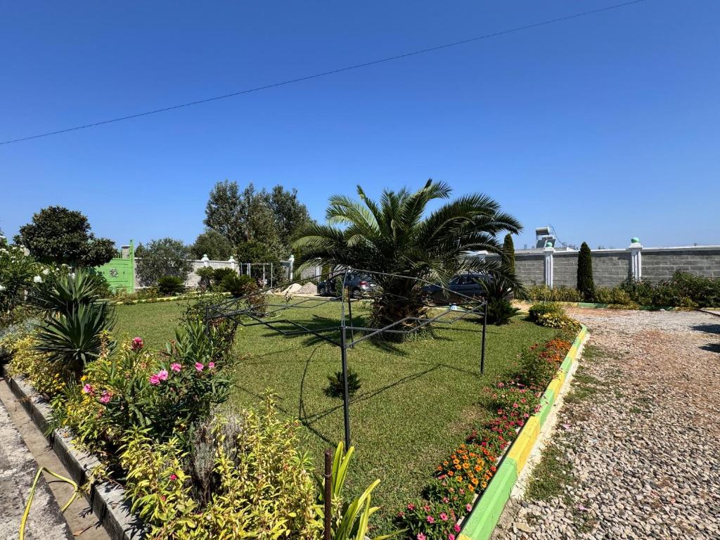 Ponari apartments photo 1