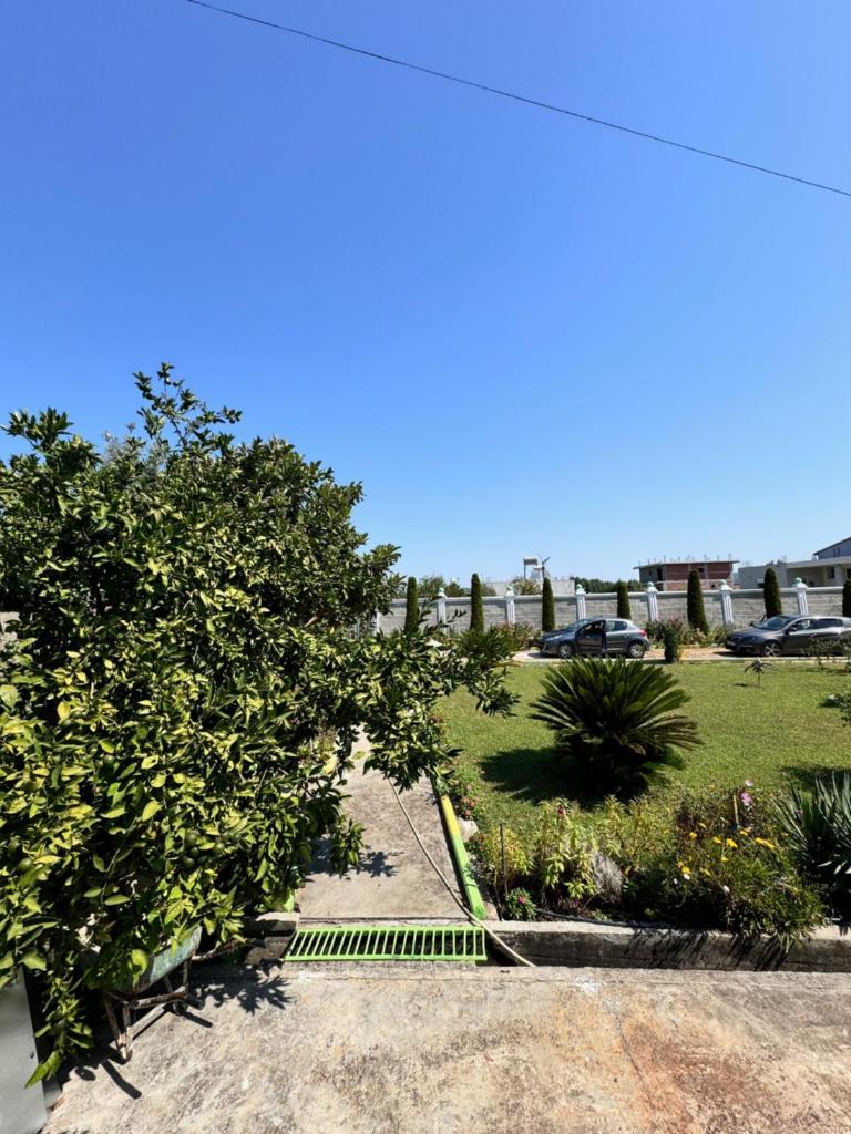 Ponari apartments photo 3