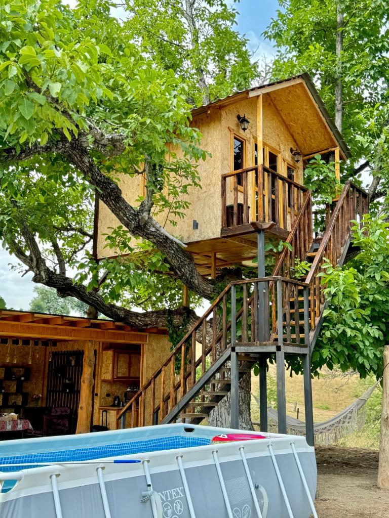 Tnak Dream House