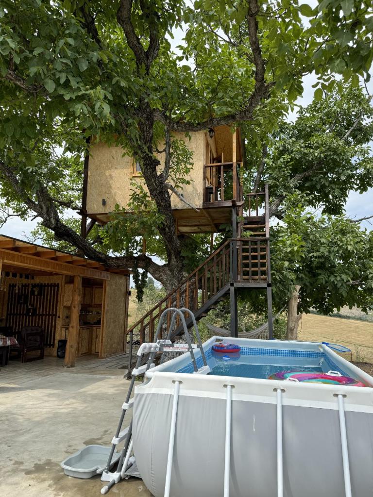 Tnak Dream House photo 4
