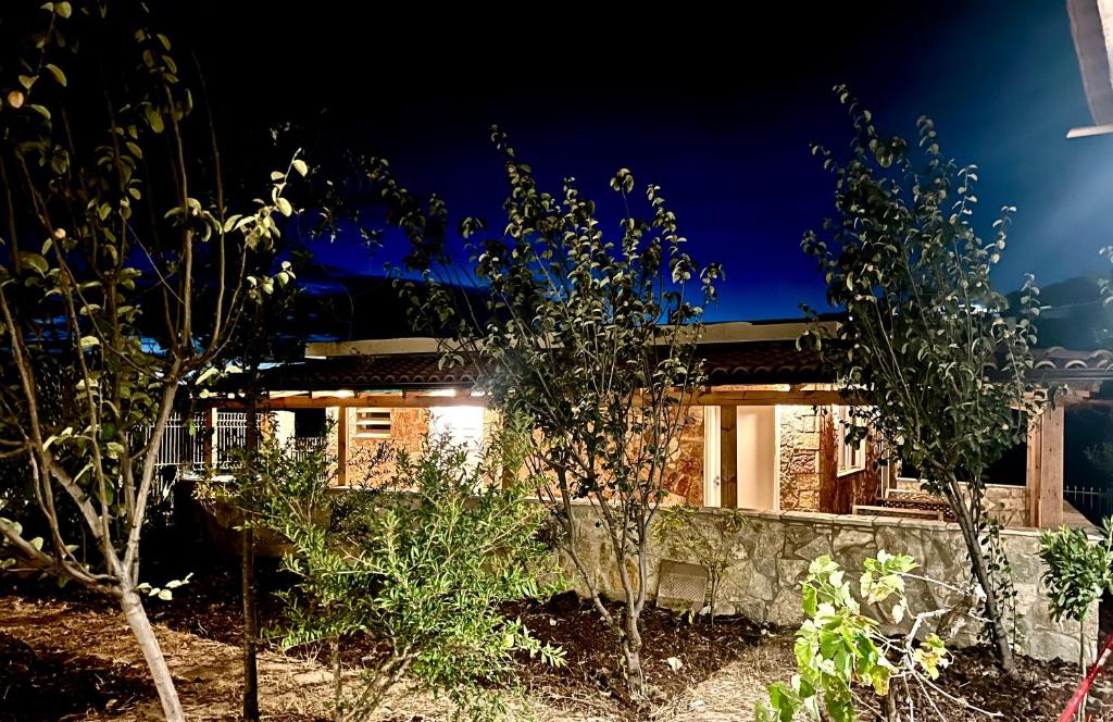 Jardin miraculeux