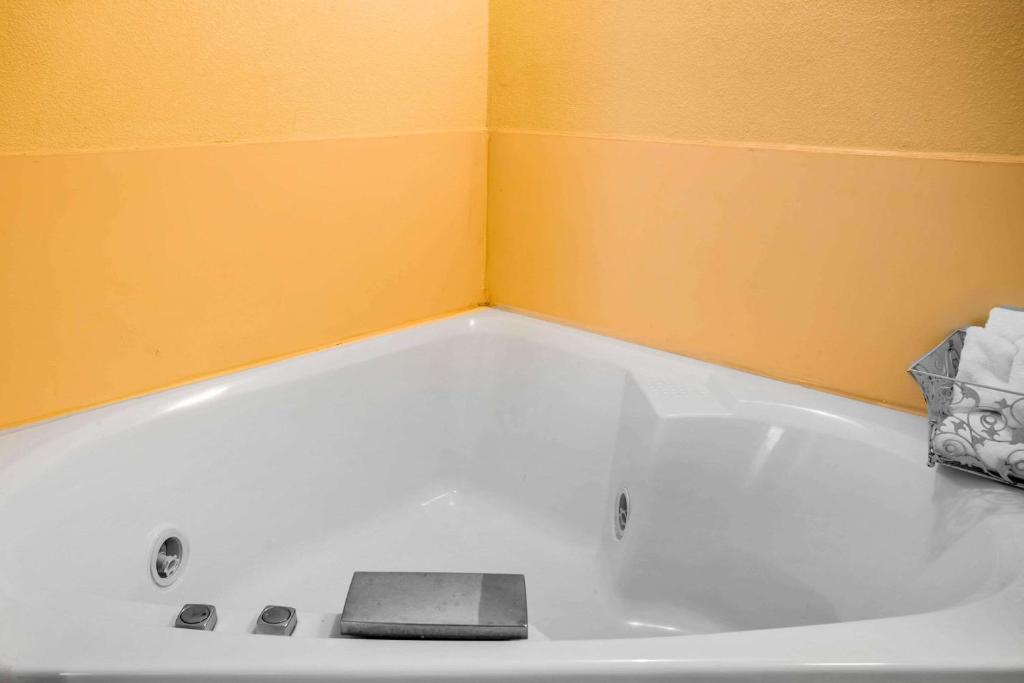 Clarion Inn & Suites Aiken South - Tap to explore photos